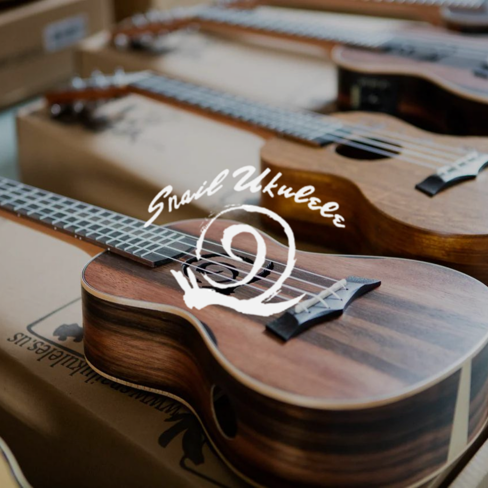 Snail Ukuleles & Accessories