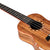 Snail Tenor Ukuleles