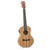 Snail Tenor Electro-Acoustic Ukuleles