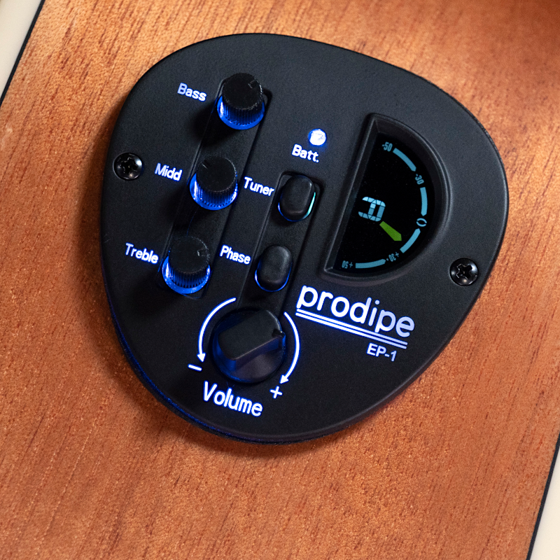 Prodipe Electro-Acoustic Guitars