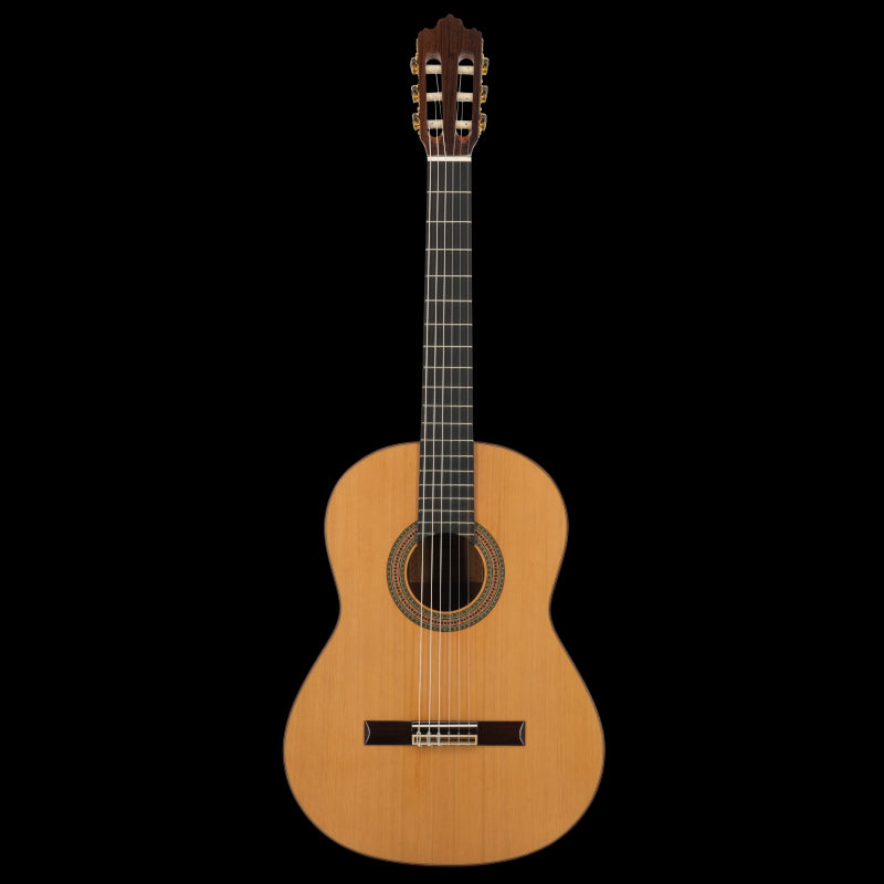 Prodipe Classical Guitars