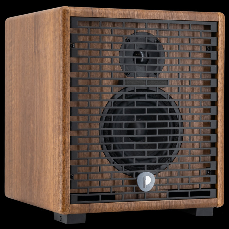 Prodipe Acoustic Amplifiers