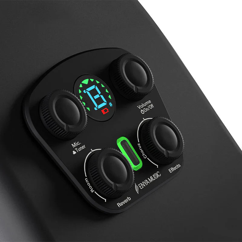 Electro Acoustic