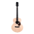 Enya EA X1 Pro Max Acoustic Guitar - 41"