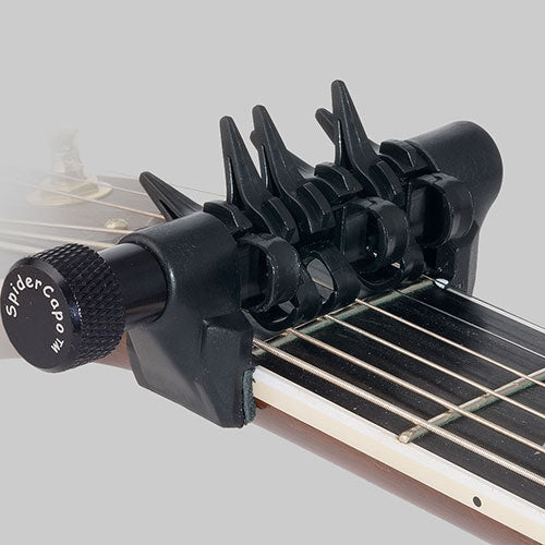 D&#39;Andrea Accessories, Spider Capo - Standard