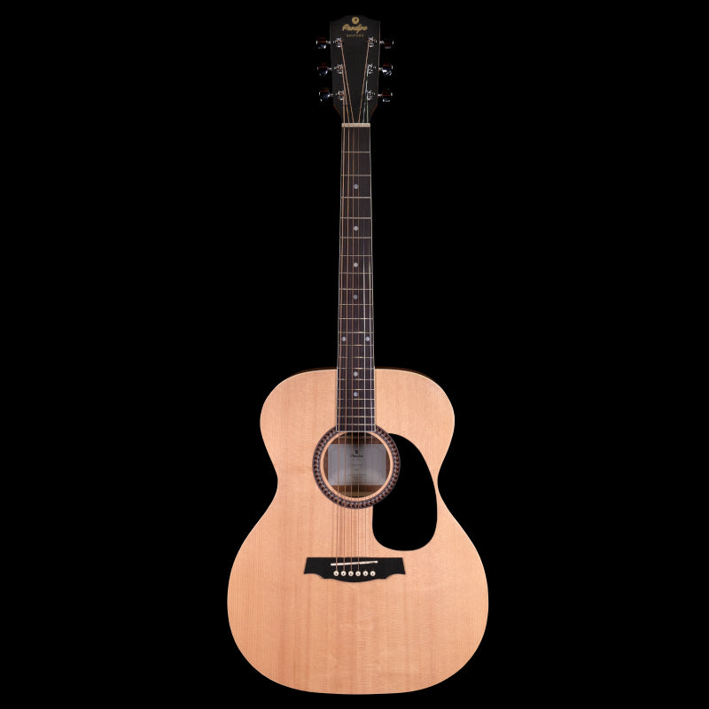 Prodipe SA25 Acoustic Guitar, Auditorium