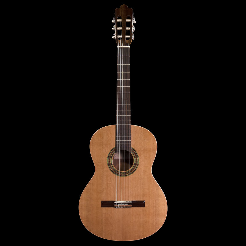 Prodipe RECITAL 200 Classical Guitar 