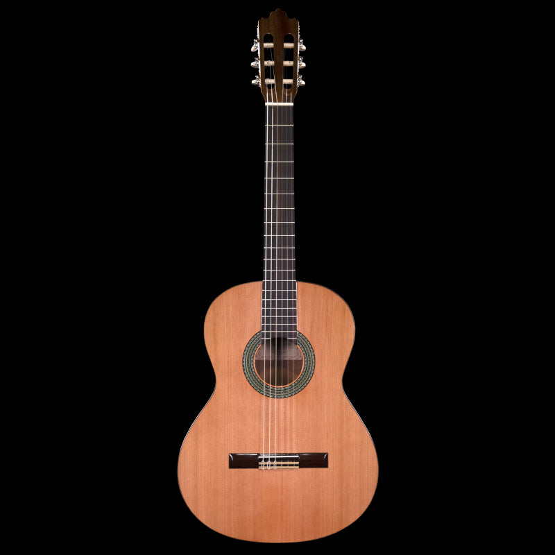 Prodipe RECITAL 300 Classical Guitar 