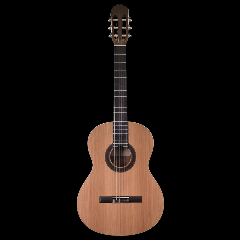 Prodipe STUDENT 4/4 Classical Guitar 