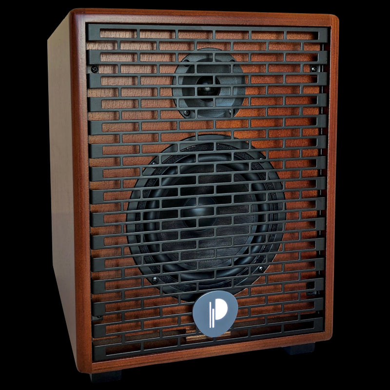 Prodipe NATURAL 6 CHERRYWOOD Acoustic Instrument Amp.