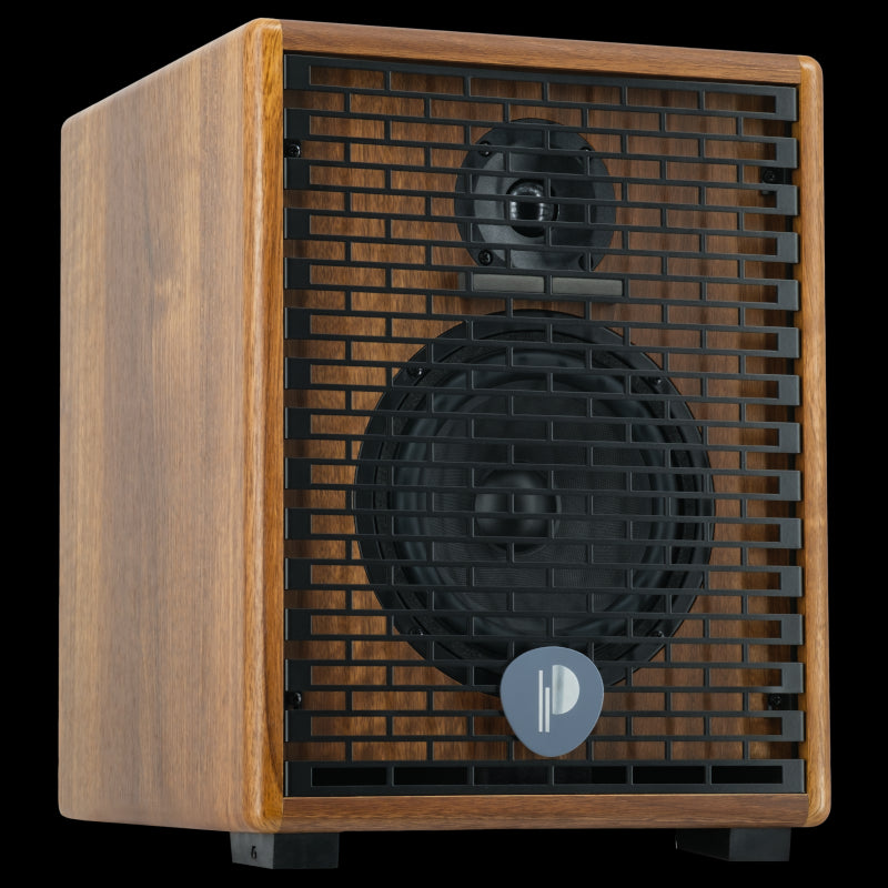 Prodipe NATURAL 6 v2 WALNUT WOOD Acoustic Instrument Amp.