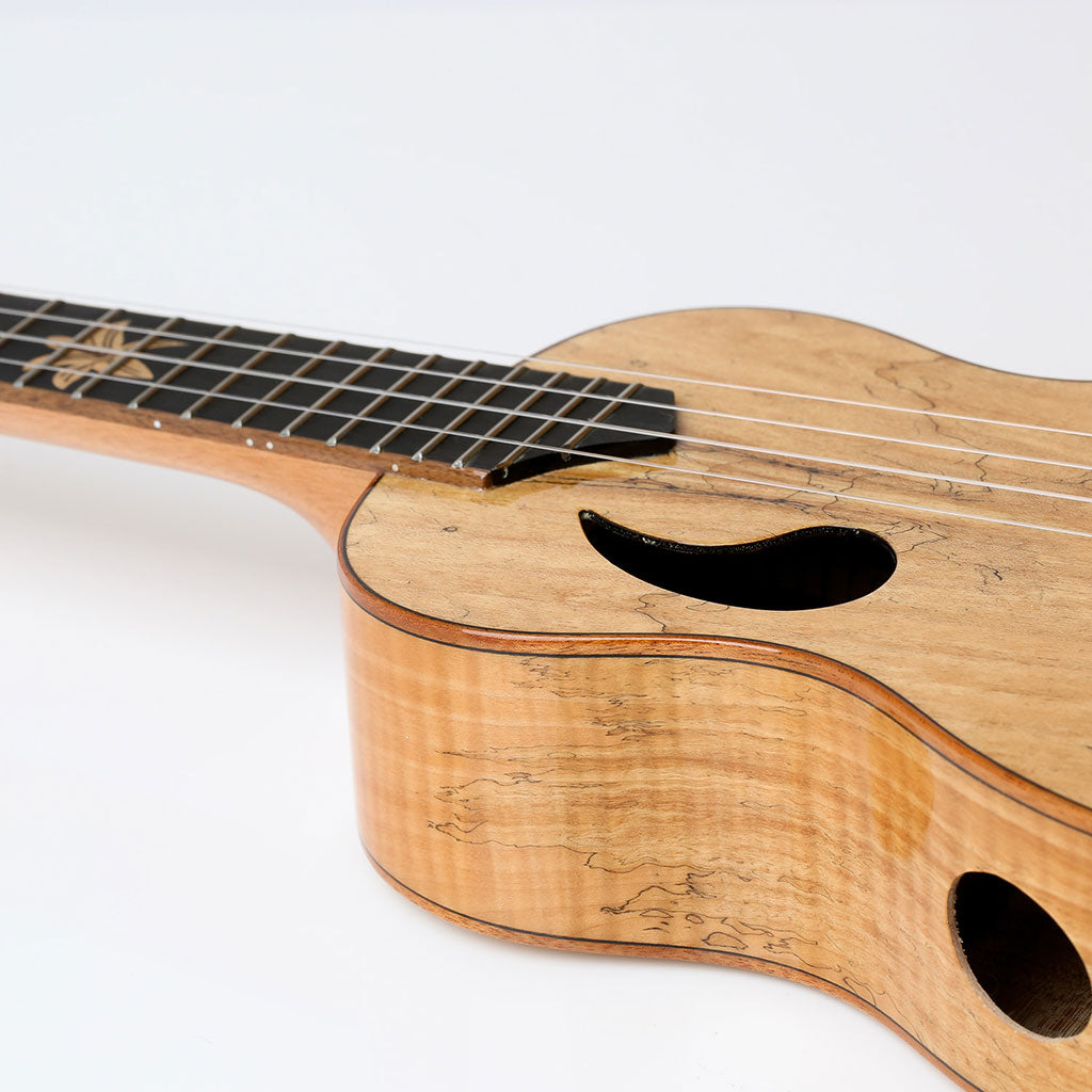 Snail BH-1C Spalted Maple Concert Ukulele Gloss Finish