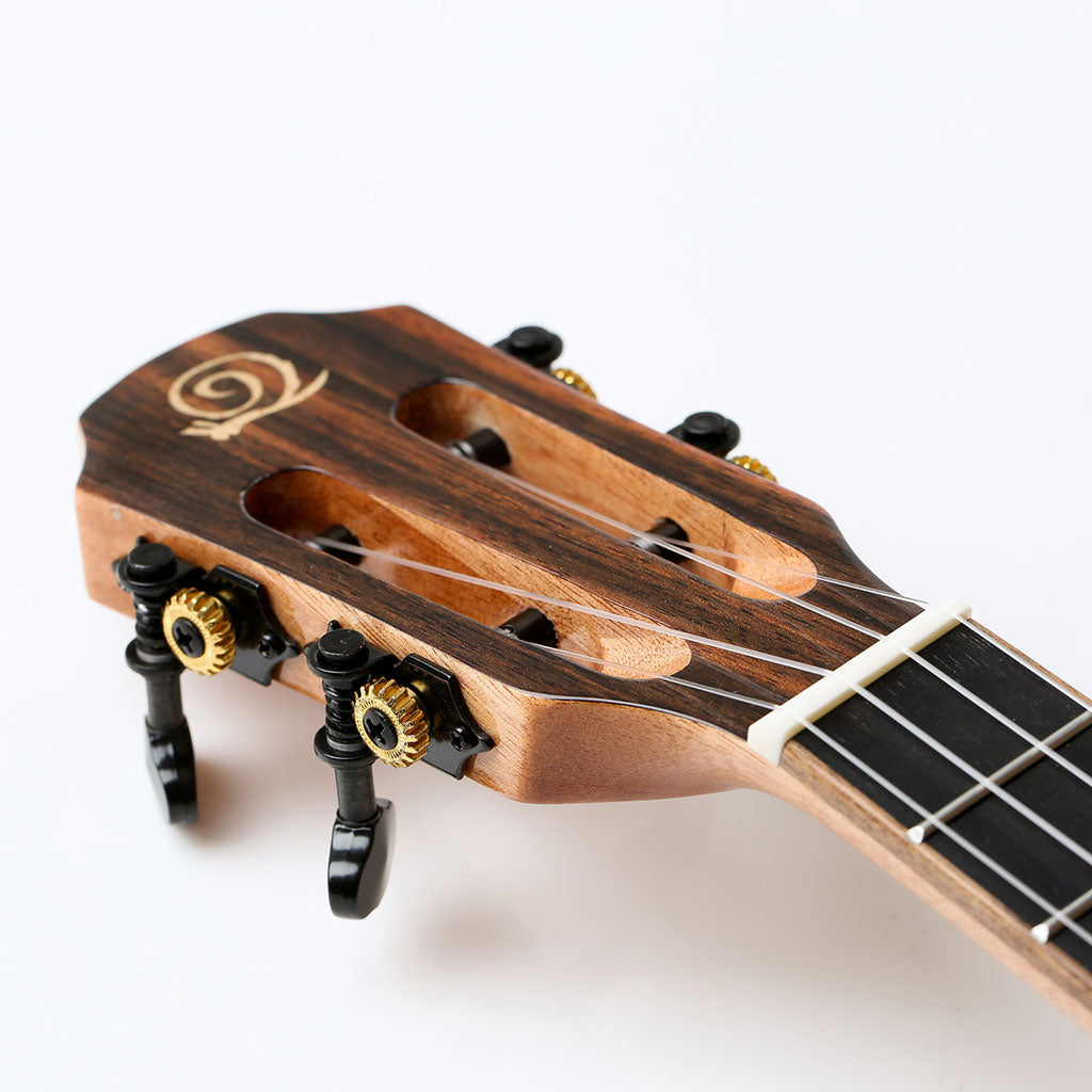 Snail BHC-5C Solid Spruce Top Concert Ukulele