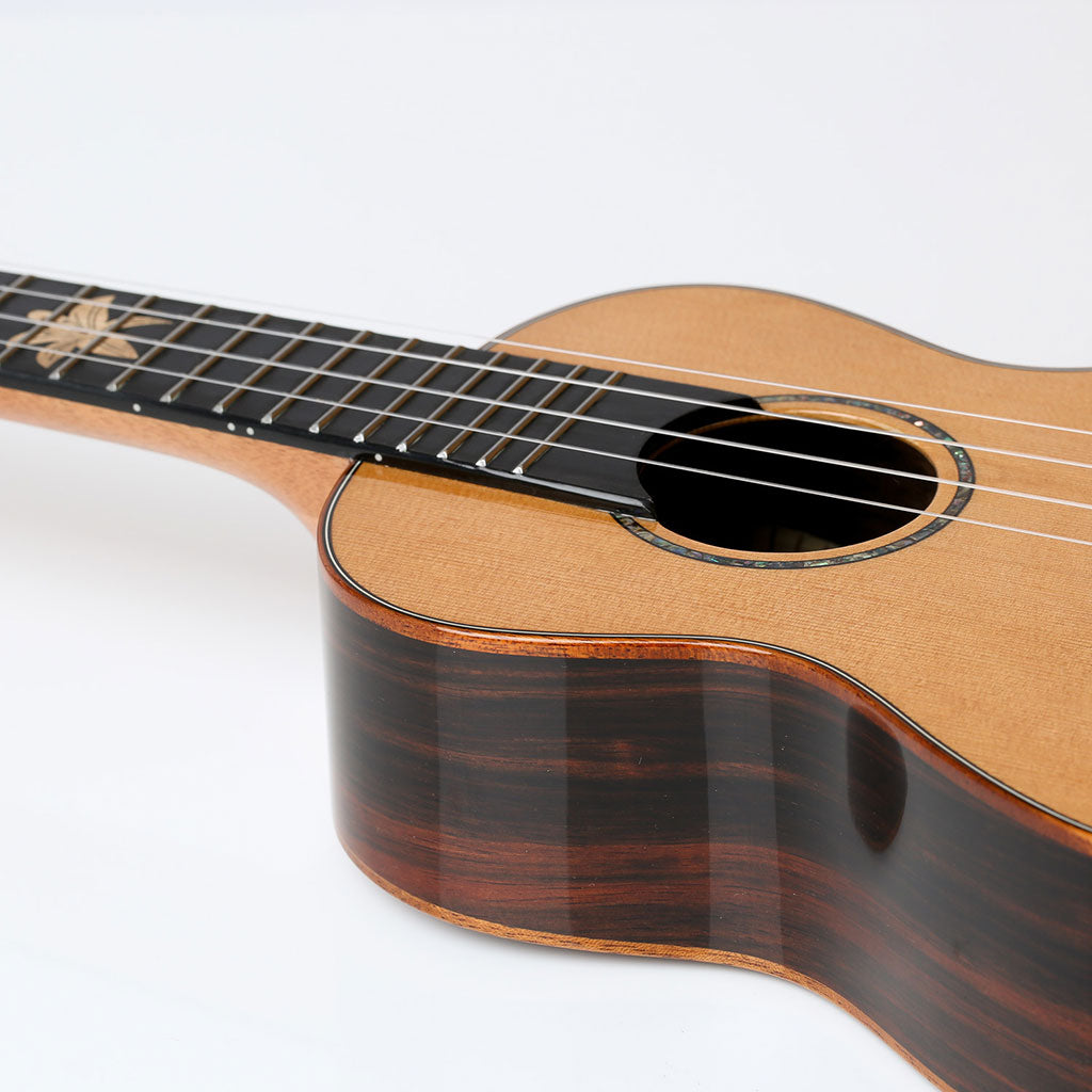 Snail BHC-6C Solid Cedar Top Concert Ukulele