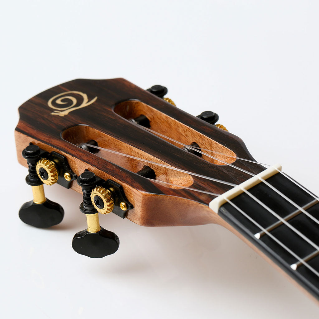 Snail BHC-6C Solid Cedar Top Concert Ukulele