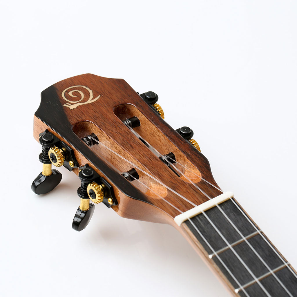 Snail BHC-6T Solid Cedar Top Tenor Ukulele