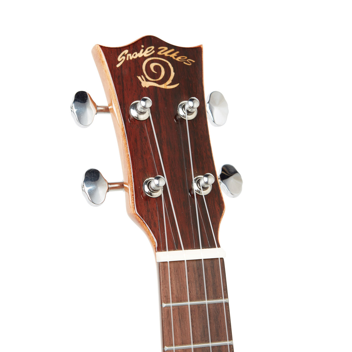 BHC-8C Solid Acacia top, laminated back &amp; Sides Concert Ukulele