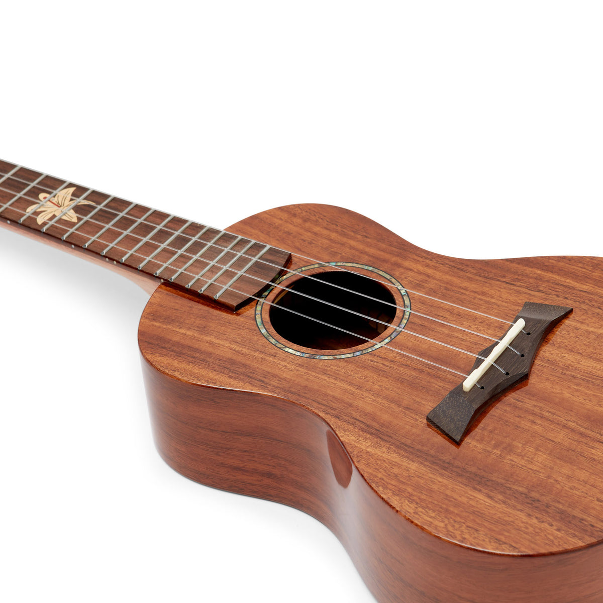 BHC-8C Solid Acacia top, laminated back &amp; Sides Concert Ukulele