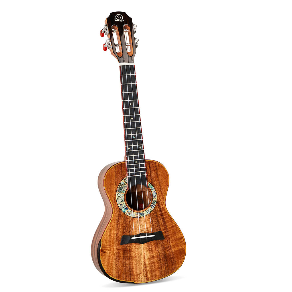 Snail S60C All Solid Flamed Acacia Concert Ukulele
