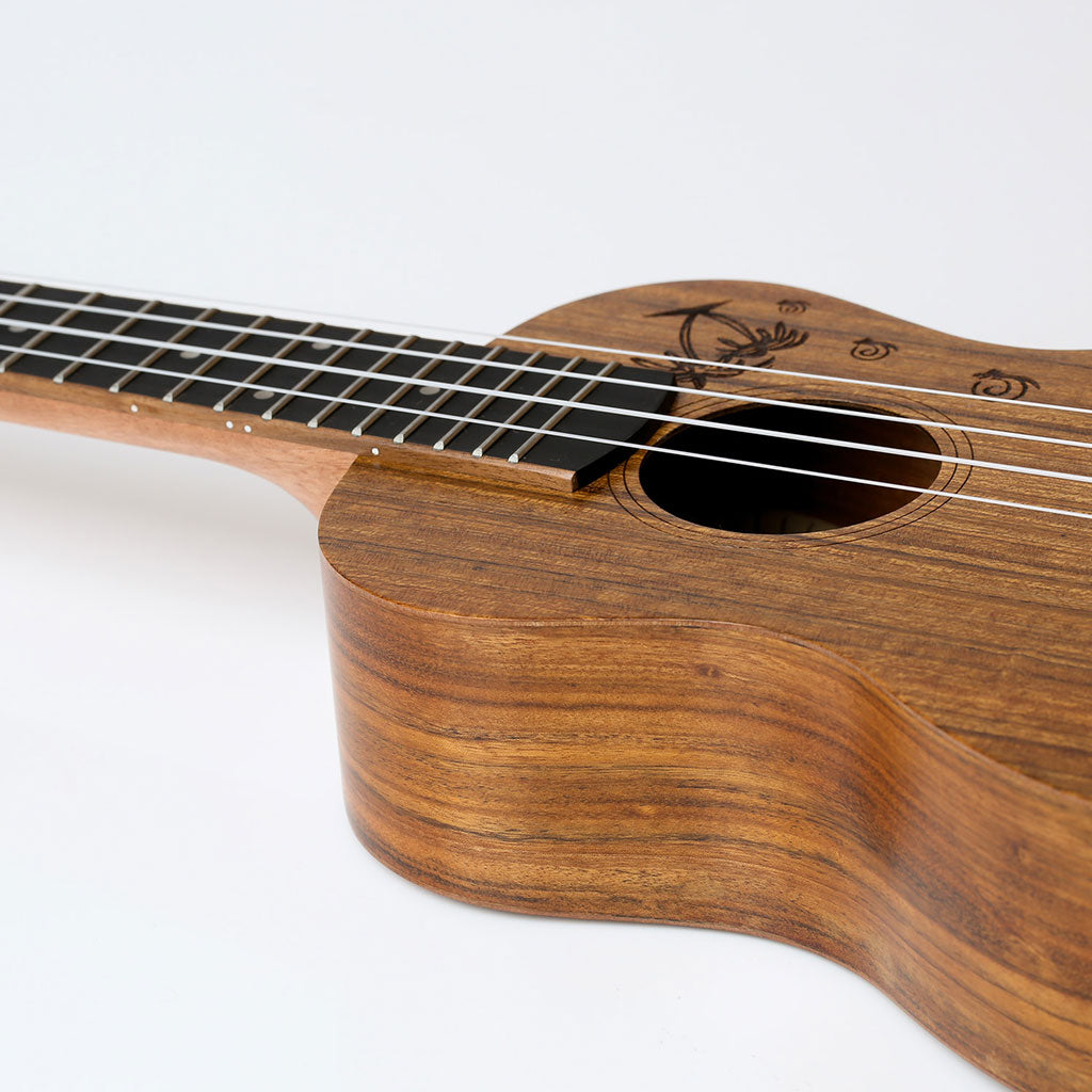 Snail UKC-486E Ukelele de concierto de nogal