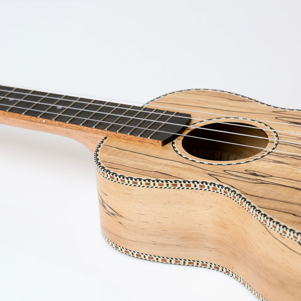 Snail UKC-490E Spalted Maple Concert Ukulele