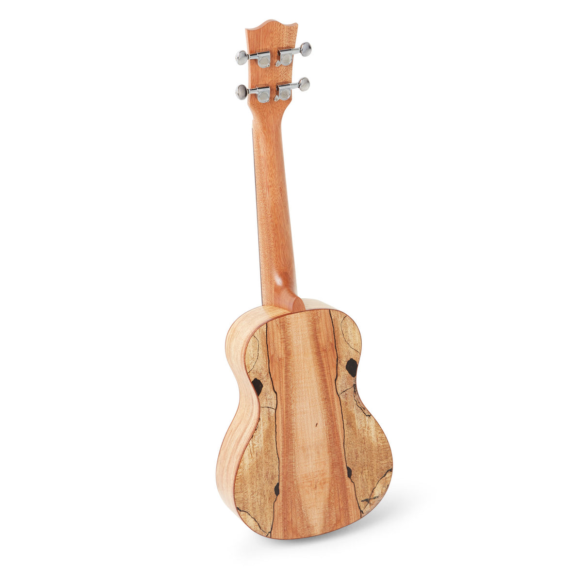 Snail UKC-380 Solid Spruce Top, Spalted maple back &amp; Sides Concert Ukulele